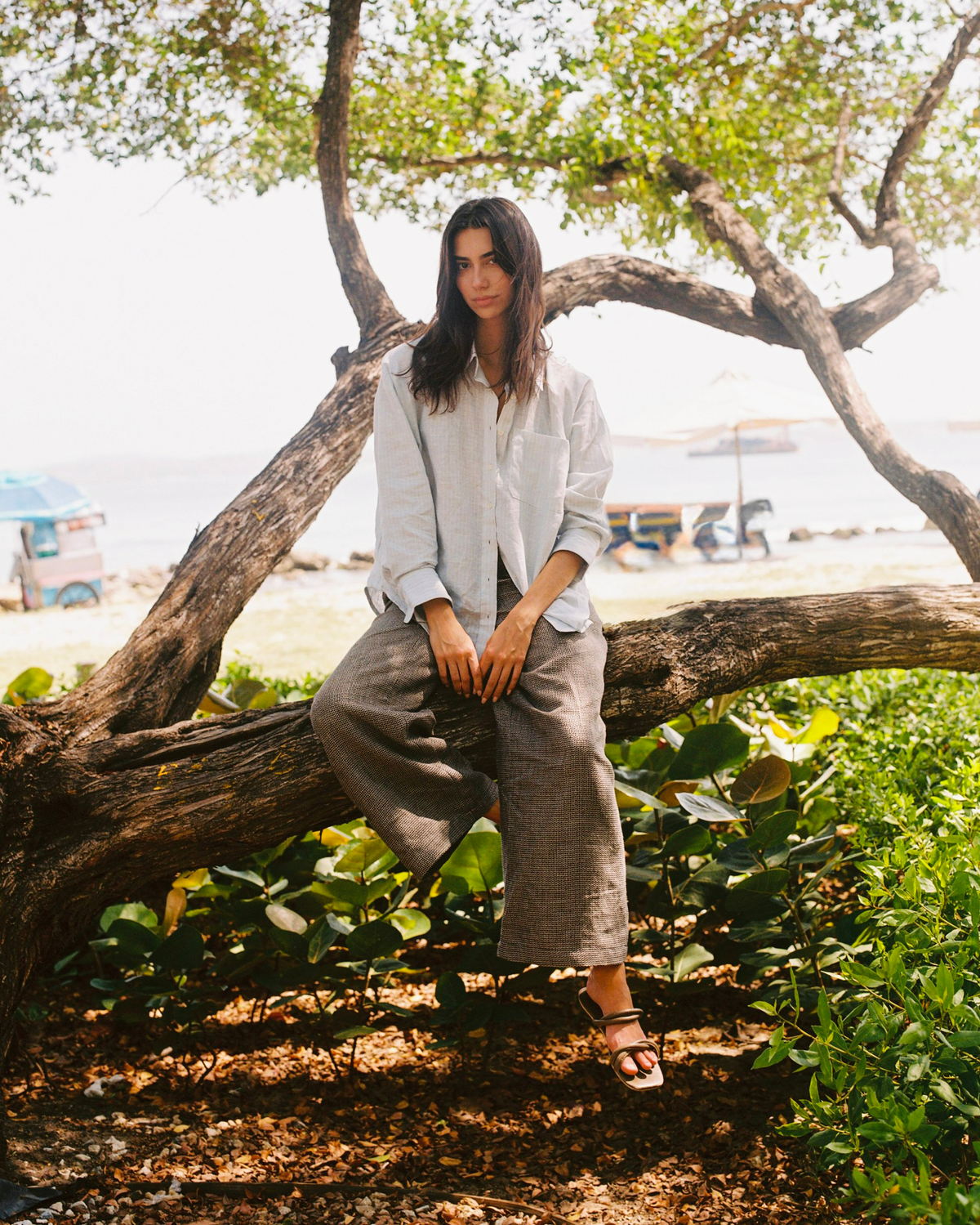 Women's Summer Collection