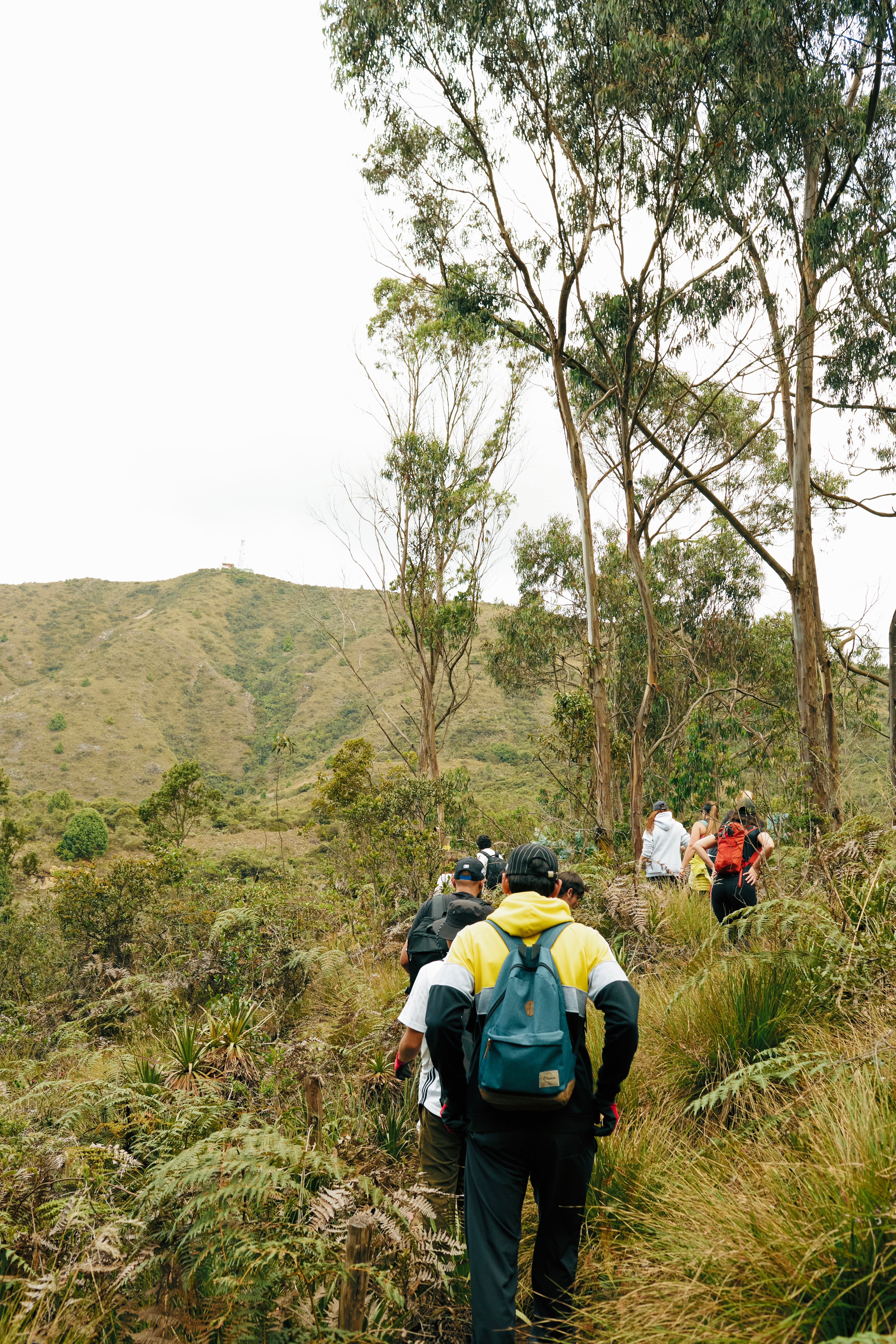 Camiseta H Live Happy Serrana Estampada Marfil