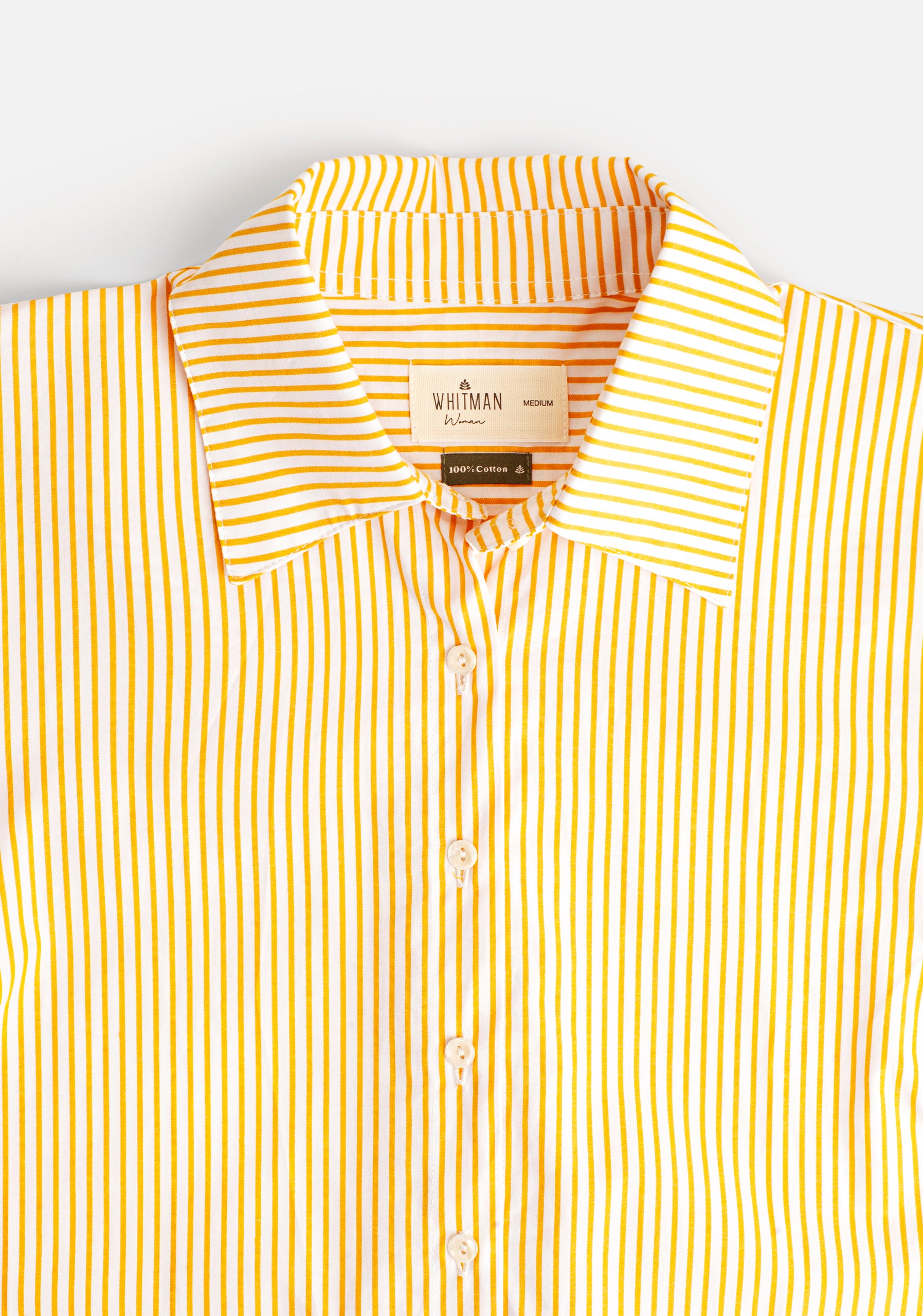Camisa M Isabella Rayas Amarillo-3