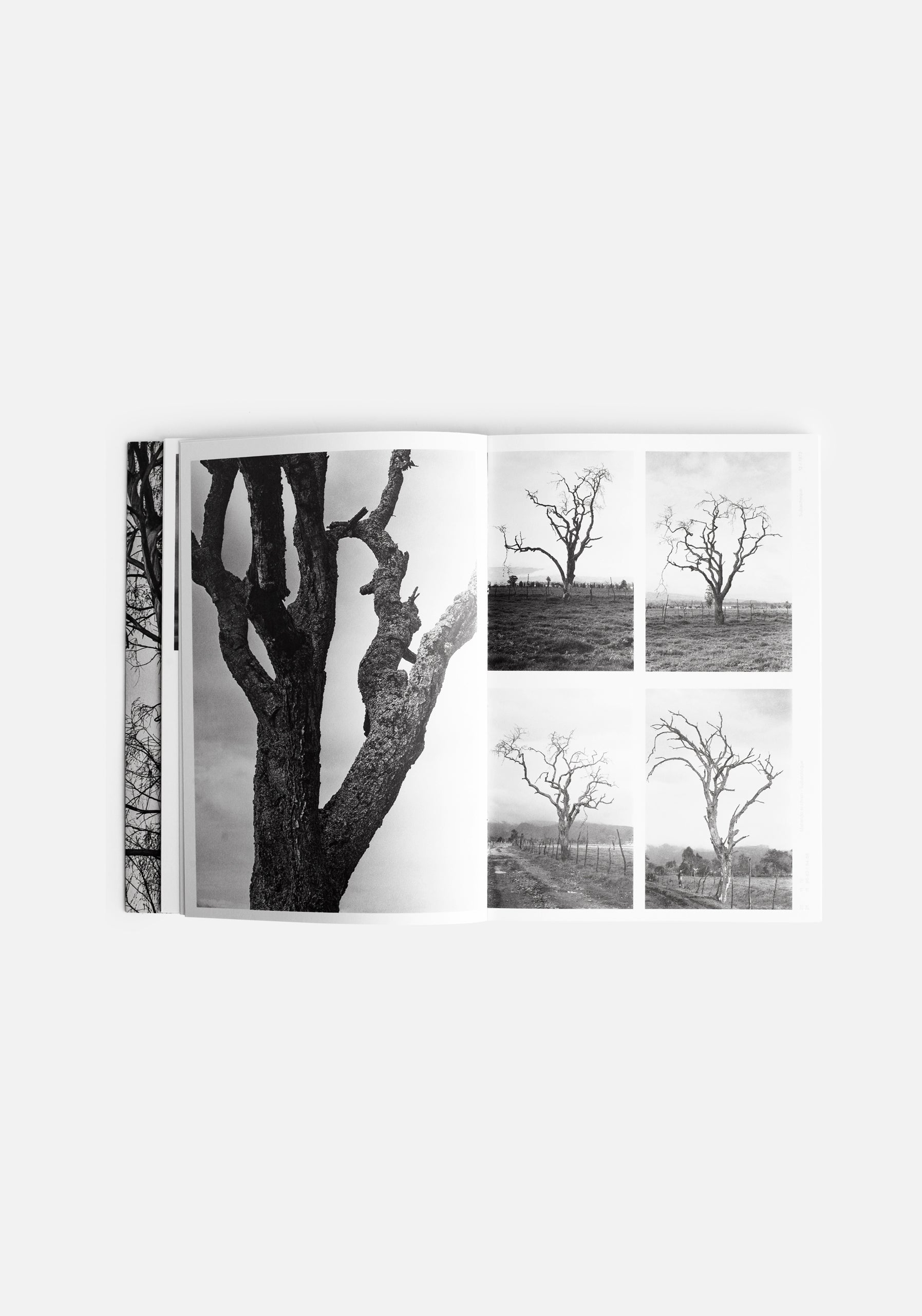 Libro La Chispa De La Vida ED. A&A