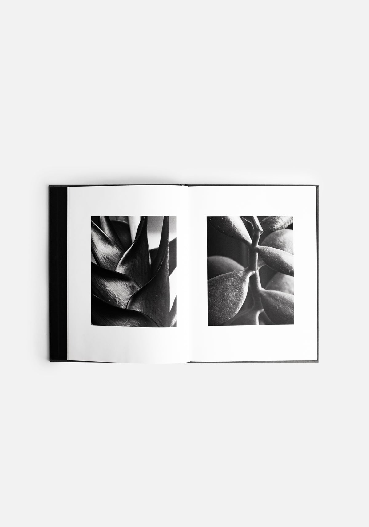 Libro Matas ED. A&A