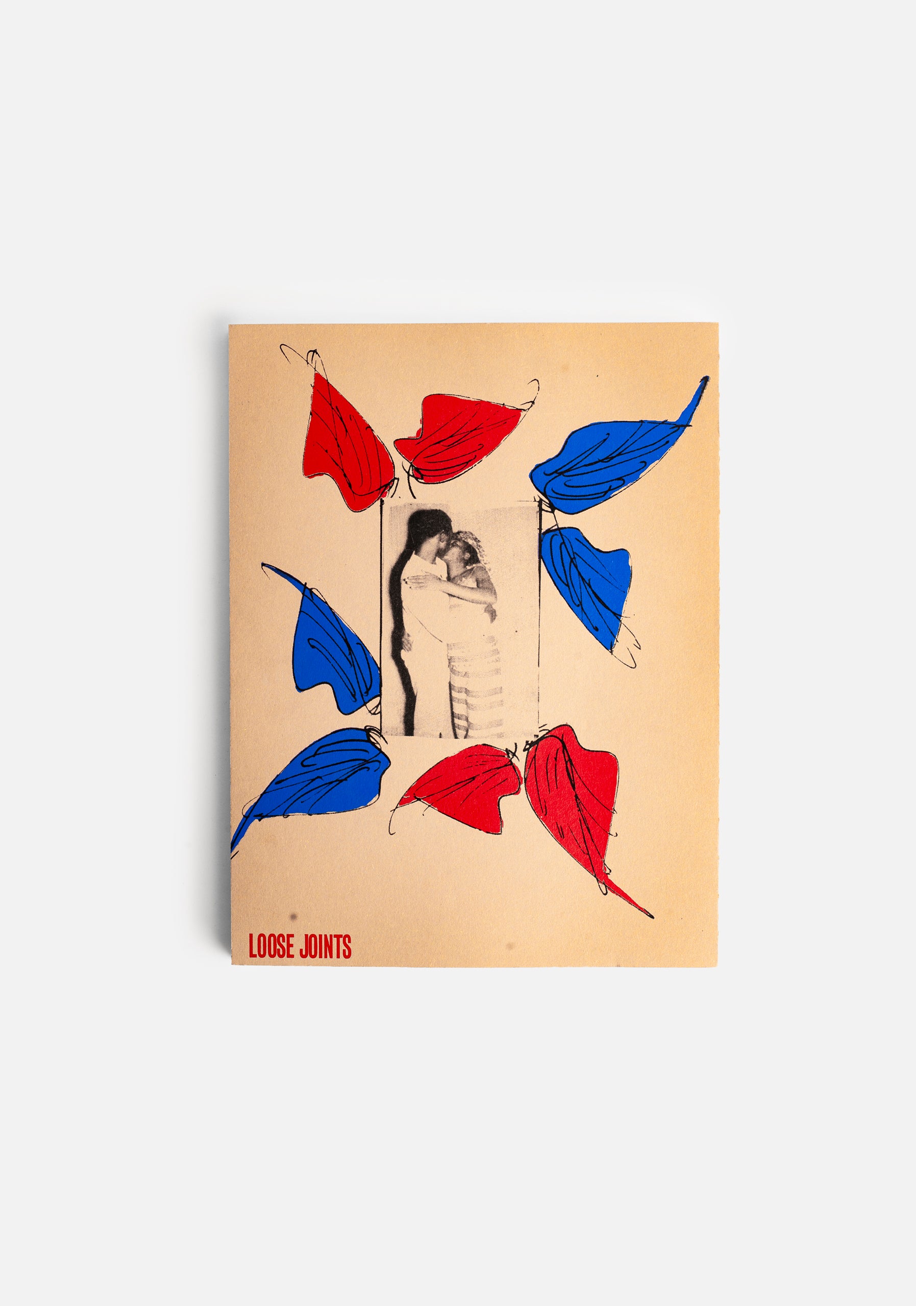 Libro Painted Frames ED. A&A