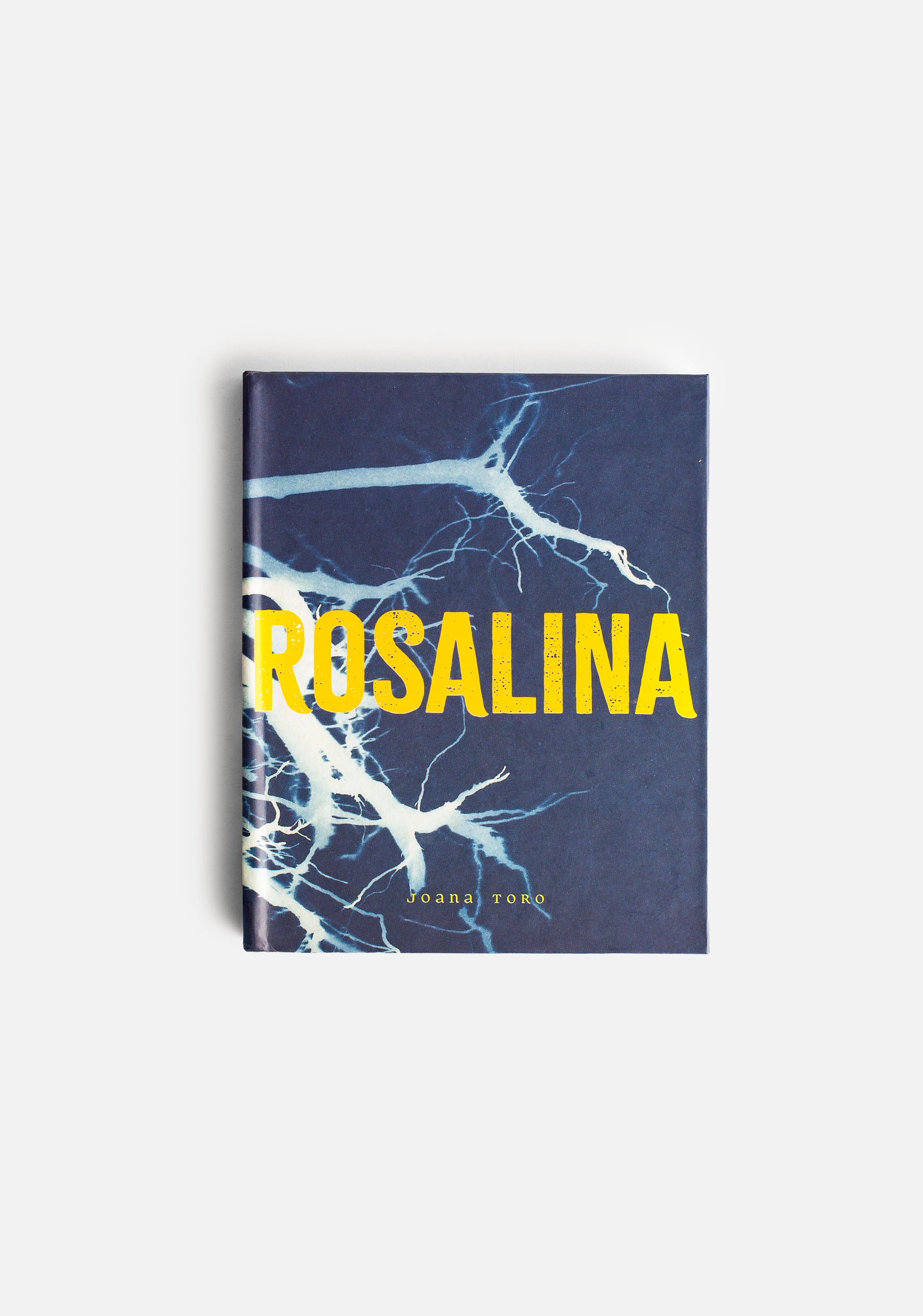 Libro Rosalina ED. A&A