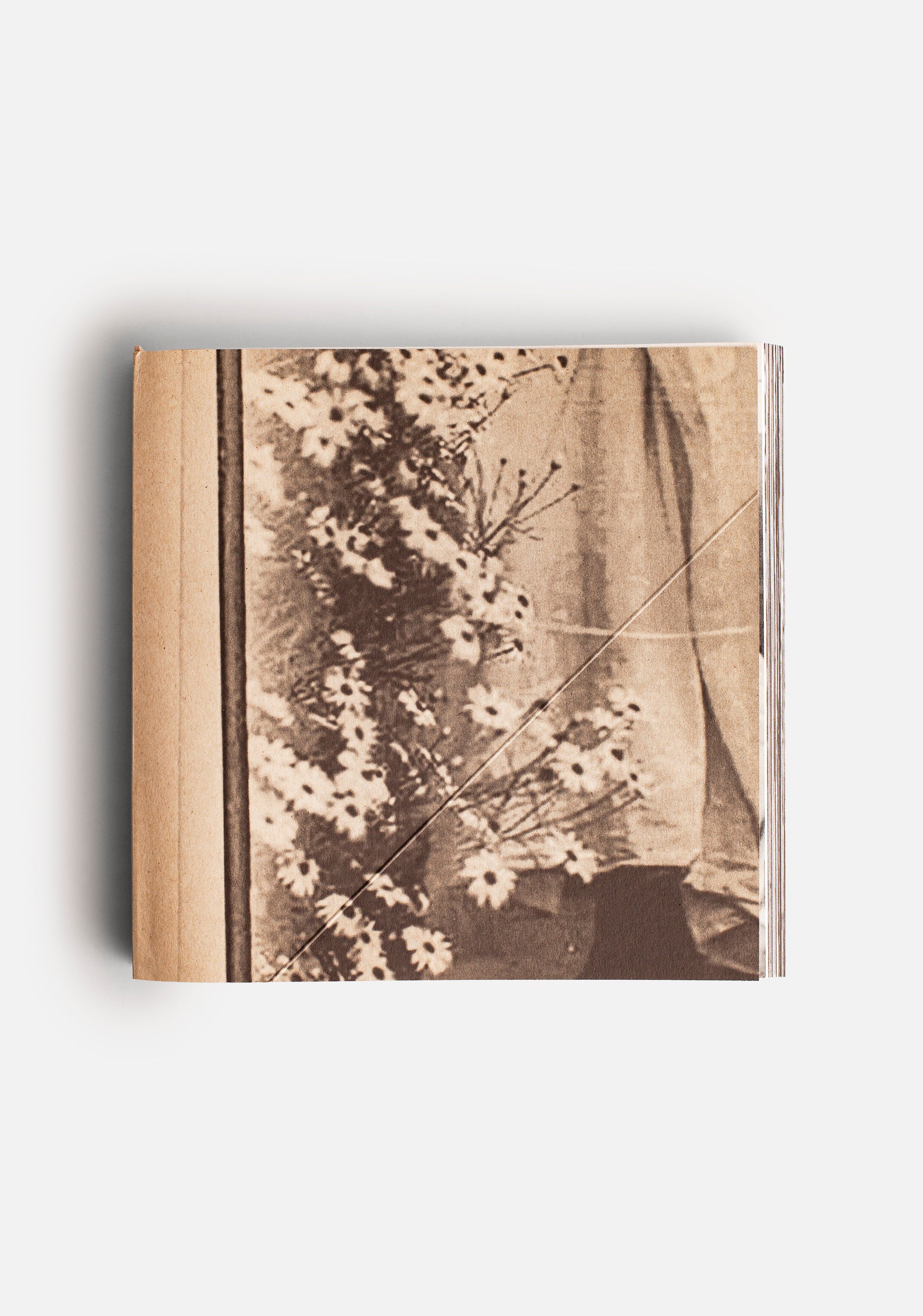Libro The Fold ED. A&A